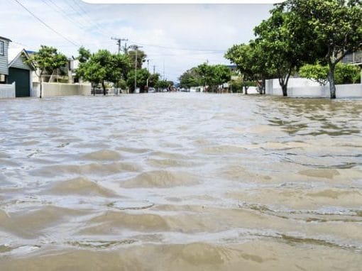 Screenshot 2025 03 13 at 4.27.27 PM In: Impact of Ocean Heating on Florida Springs | Our Santa Fe River, Inc. (OSFR) | Protecting the Santa Fe River